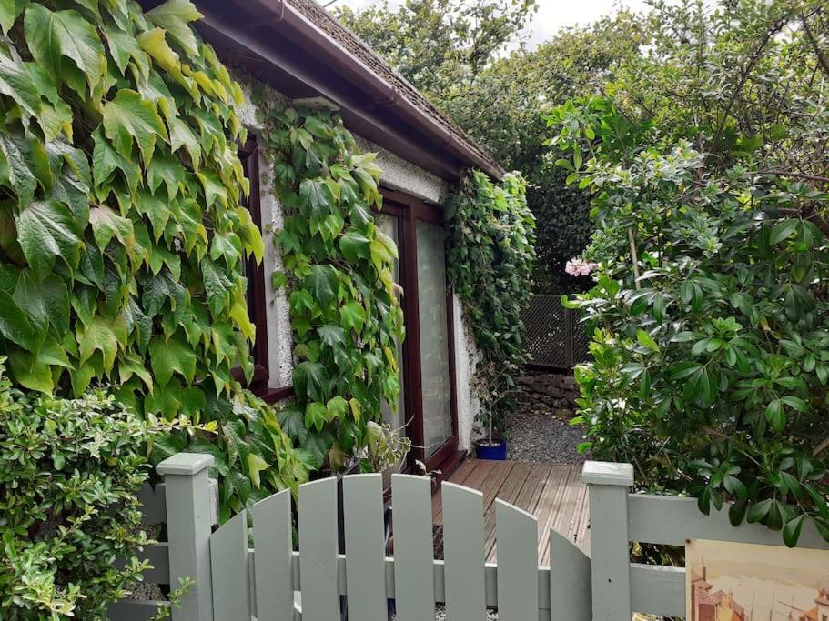 Oakey Orchard - Cosy Apartment In Tamar Valley, Cornwall Saint Dominick Экстерьер фото